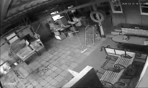 Caméra IP - Russian Federation