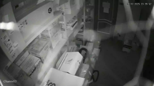 Caméra IP - Russische Föderation