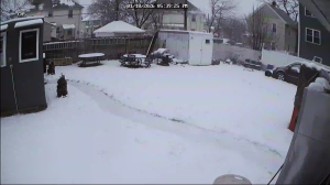 Caméra IP - Estados Unidos