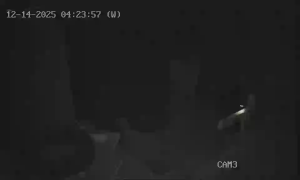 Caméra IP - Turquie