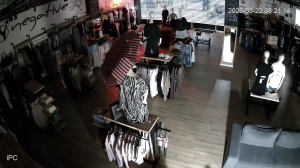 Caméra IP - Bulgarie