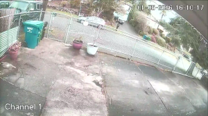 Caméra IP - États-Unis d'Amérique