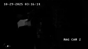 Caméra IP - Países Bajos