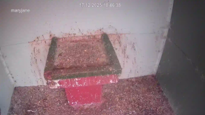 Caméra IP - United Kingdom