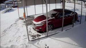 Caméra IP - United States of America