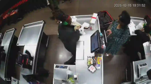 Caméra IP - Afrique du Sud