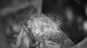 Caméra IP - Belgium