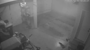 Caméra IP - Vereinigte Staaten von Amerika