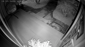 Caméra IP - United States of America