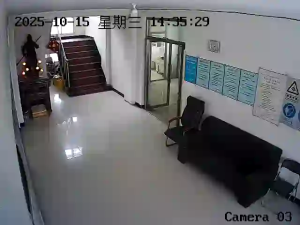 Caméra IP - China