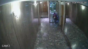 Caméra IP - Argentina