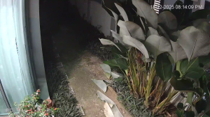 Caméra IP - Malaysia