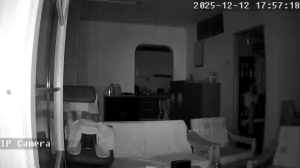 Caméra IP - Singapur