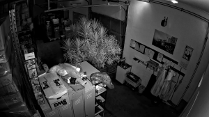 Caméra IP - Allemagne