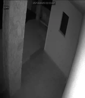 Caméra IP - Espagne