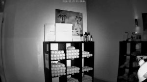 Caméra IP - Germany