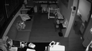 Caméra IP - South Korea