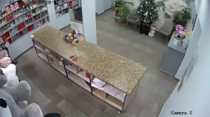 Caméra IP - Russian Federation