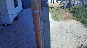 Caméra IP - Tunesien