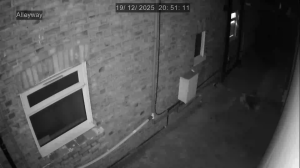 Caméra IP - Reino Unido