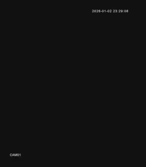 Caméra IP - Russian Federation