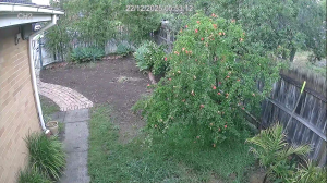 Caméra IP - Australien