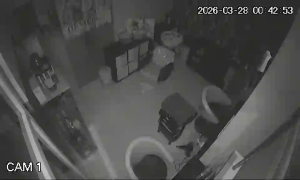 Caméra IP - Portugal