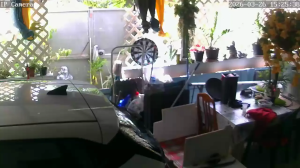 Caméra IP - Guadeloupe