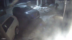 Caméra IP - Lituanie