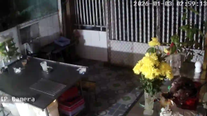 Caméra IP - Vietnam