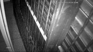 Caméra IP - Venezuela