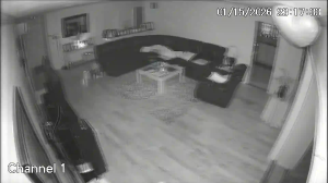 Caméra IP - United States of America