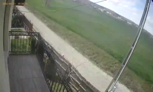 Caméra IP - Romania