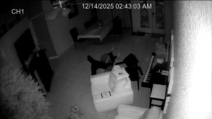 Caméra IP - États-Unis d'Amérique