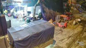 Caméra IP - Vietnam