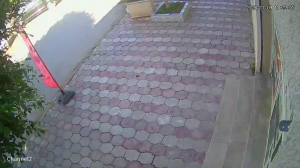 Caméra IP - Tunesien