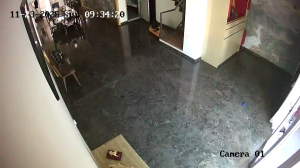 Caméra IP - Singapore