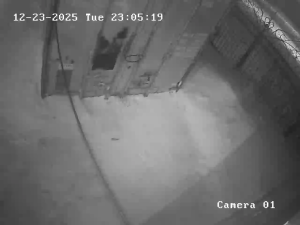 Caméra IP - Kazakhstan