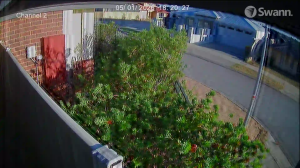 Caméra IP - Australie