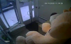 Caméra IP - Russie