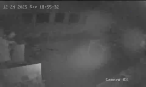 Caméra IP - Hongrie