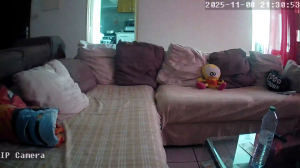 Caméra IP - Réunion