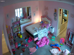 Caméra IP - États-Unis d'Amérique