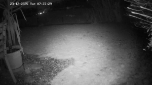 Caméra IP - Schweiz