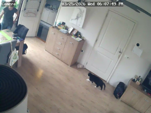 Caméra IP - Países Bajos