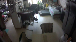 Caméra IP - South Korea