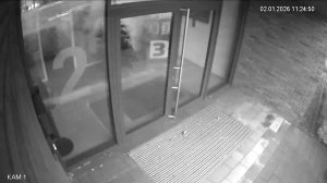 Caméra IP - Germany