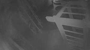 Caméra IP - Vietnam