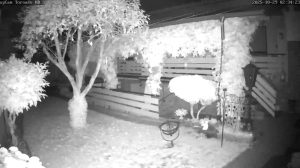 Caméra IP - Alemania