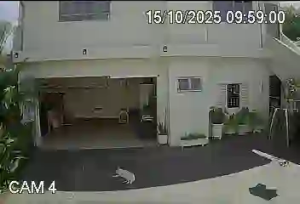 Caméra IP - Brasil